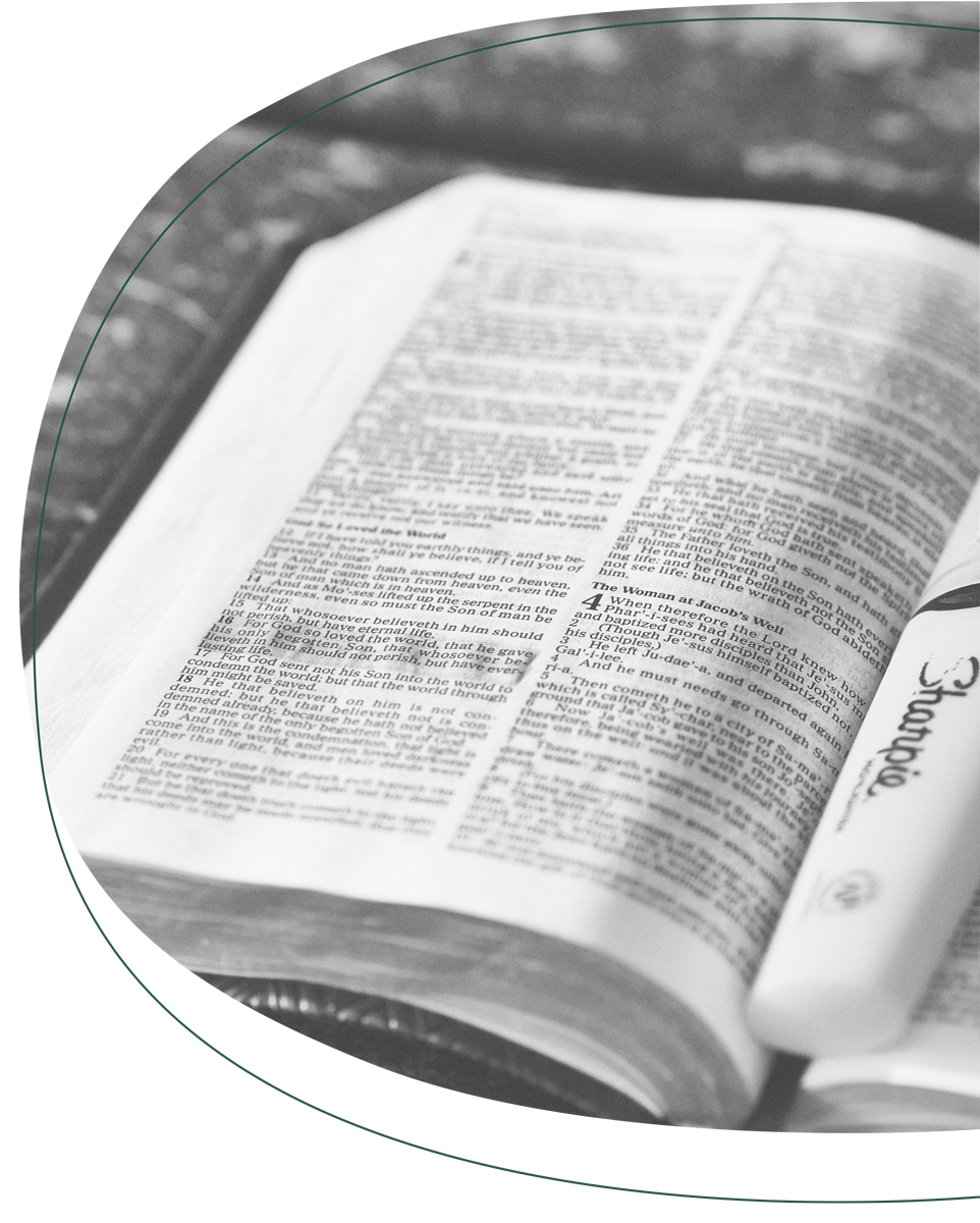 geöffnete Bibel mit Textmarker