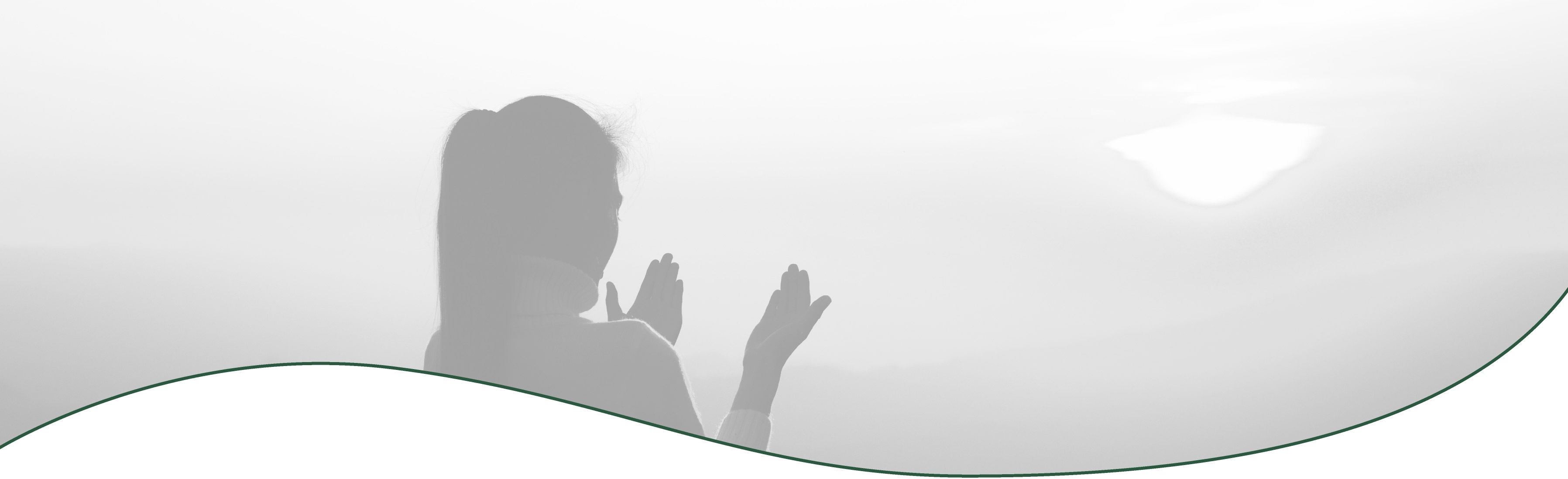 Ready? Steady! Grow.